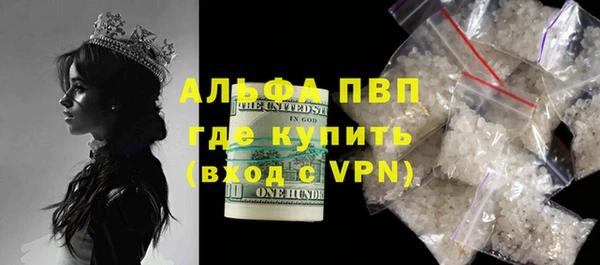 индика Лихославль