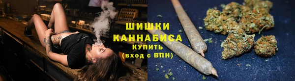 Альфа ПВП Лиски