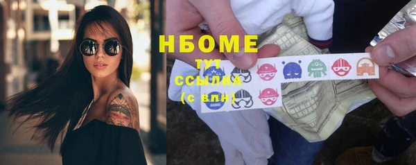 индика Лихославль