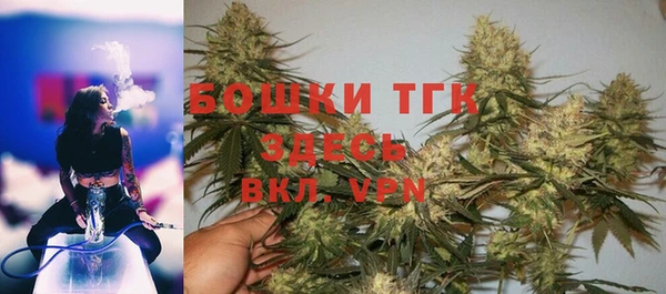 индика Лихославль
