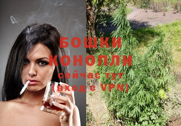 индика Лихославль