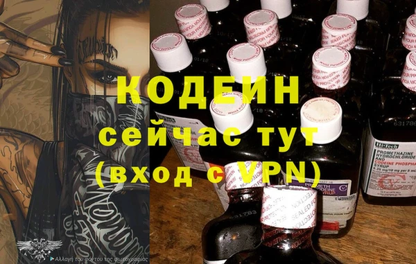 индика Лихославль